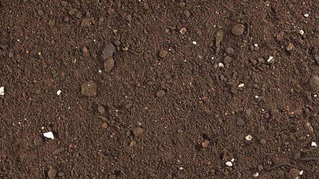 Yeni Bir Çalışmaya Göre Karbon Emisyonunun Çözümü Toprakta Yatıyor