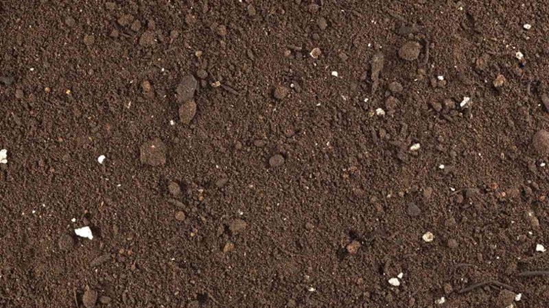 Yeni Bir Çalışmaya Göre Karbon Emisyonunun Çözümü Toprakta Yatıyor