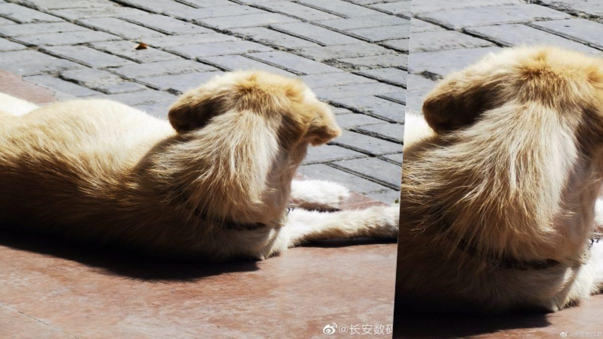 5 Kameralı Huawei P40 Premium Edition ile Çekilen Fotoğraf Örnekleri