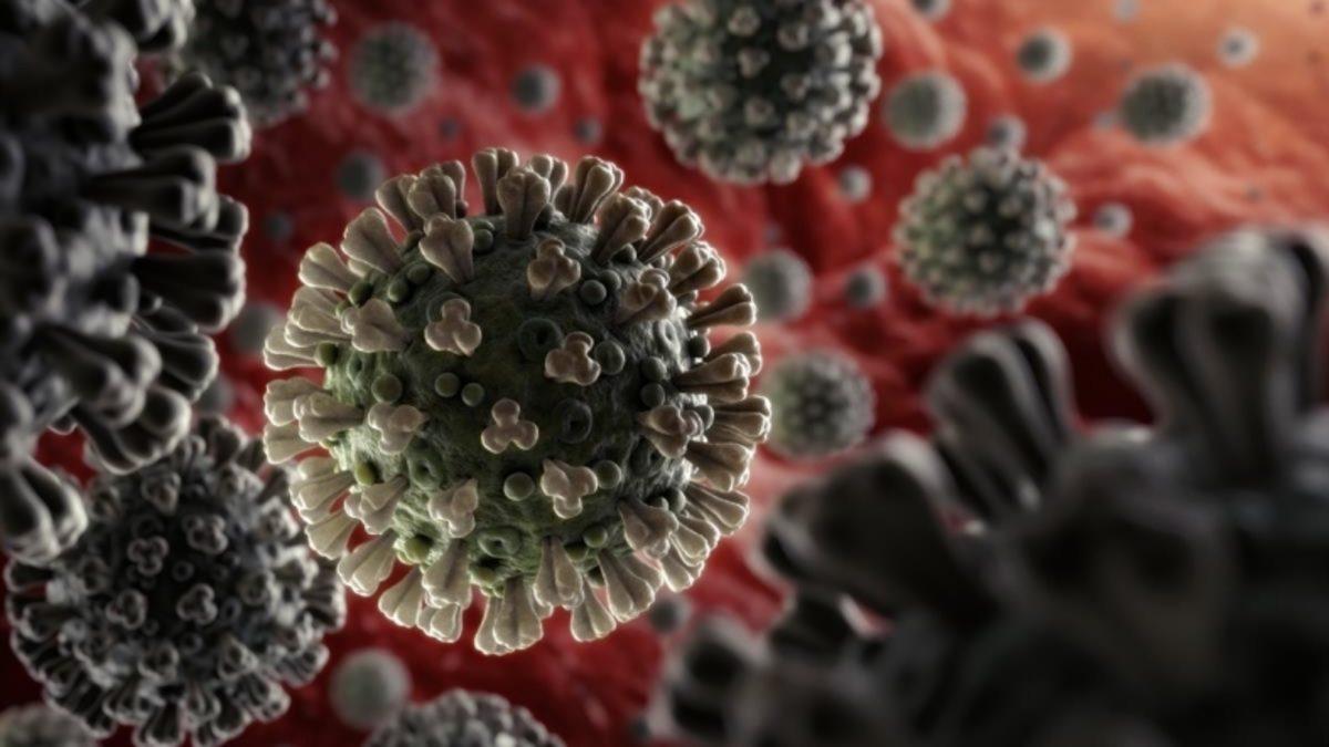 SARS-CoV-2, İki Farklı Virüsün Birleşmesinden Ortaya Çıkmış Olabilir