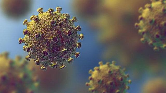 Bir Doktor, Koronavirüsle İlgili Doğru Olduğu Düşünülen 10 Yanlışı Açıkladı