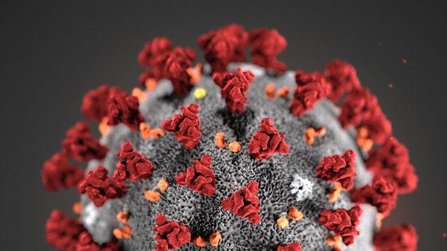 Hollanda’nın Kanalizasyon Sularında Koronavirüs Tespit Edildi