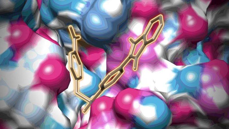 İnsanlarda Bulunan Virüslerde Önemli Bir Zafiyet Keşfedildi