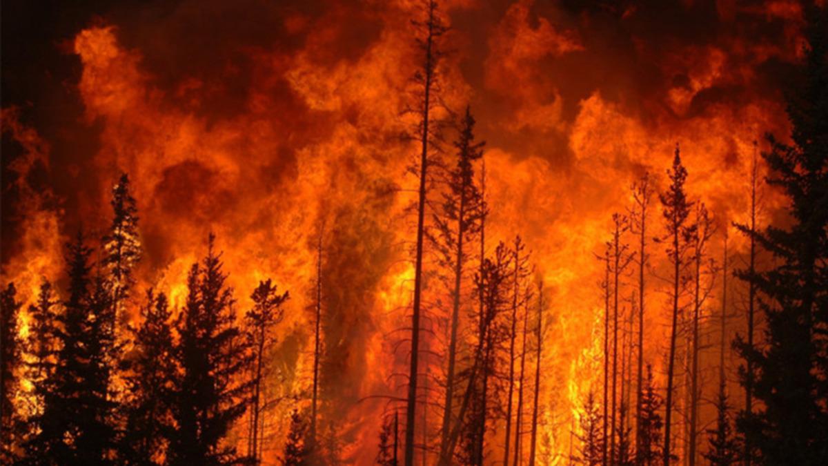 Bir Orman Yangının İçinden Çekilen Dehşet Verici Görüntüler (360 Derece Video)