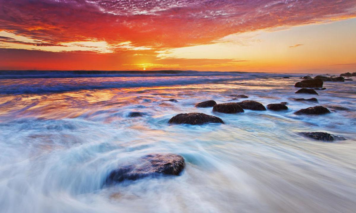 Okyanuslar Isındıkça Deniz Canlıları Kutuplara Doğru Gidiyor