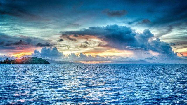 Okyanuslar Isındıkça Deniz Canlıları Kutuplara Doğru Gidiyor