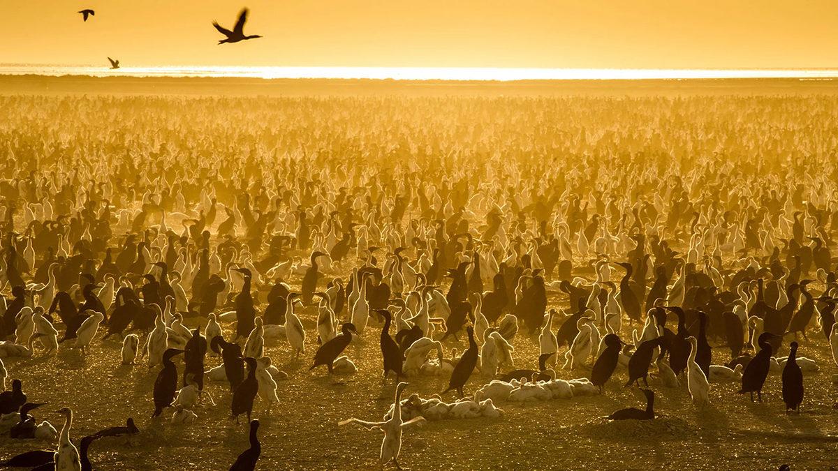 IMDb Puanlarına Göre Tüm Zamanların En İyi 54 Netflix Dizisi [2024 Güncel Liste]