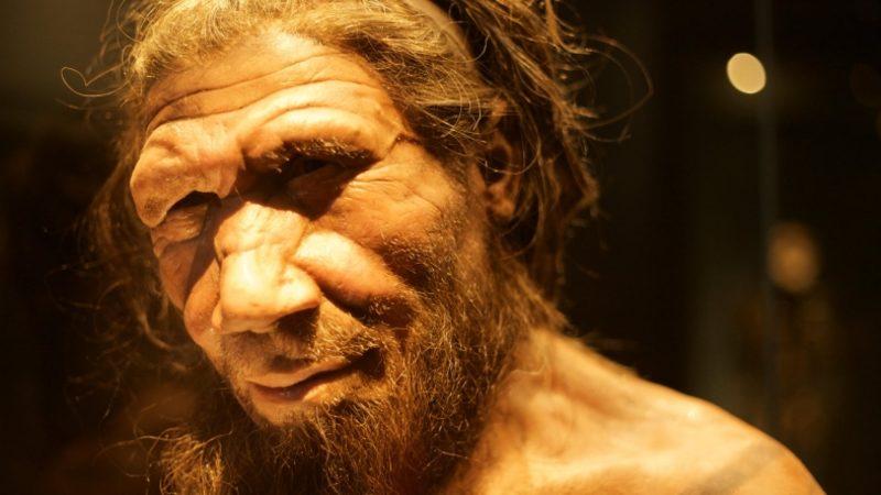 Neandertaller de Tıpkı Modern İnsanlar Gibi Deniz Ürünleri Tüketiyormuş
