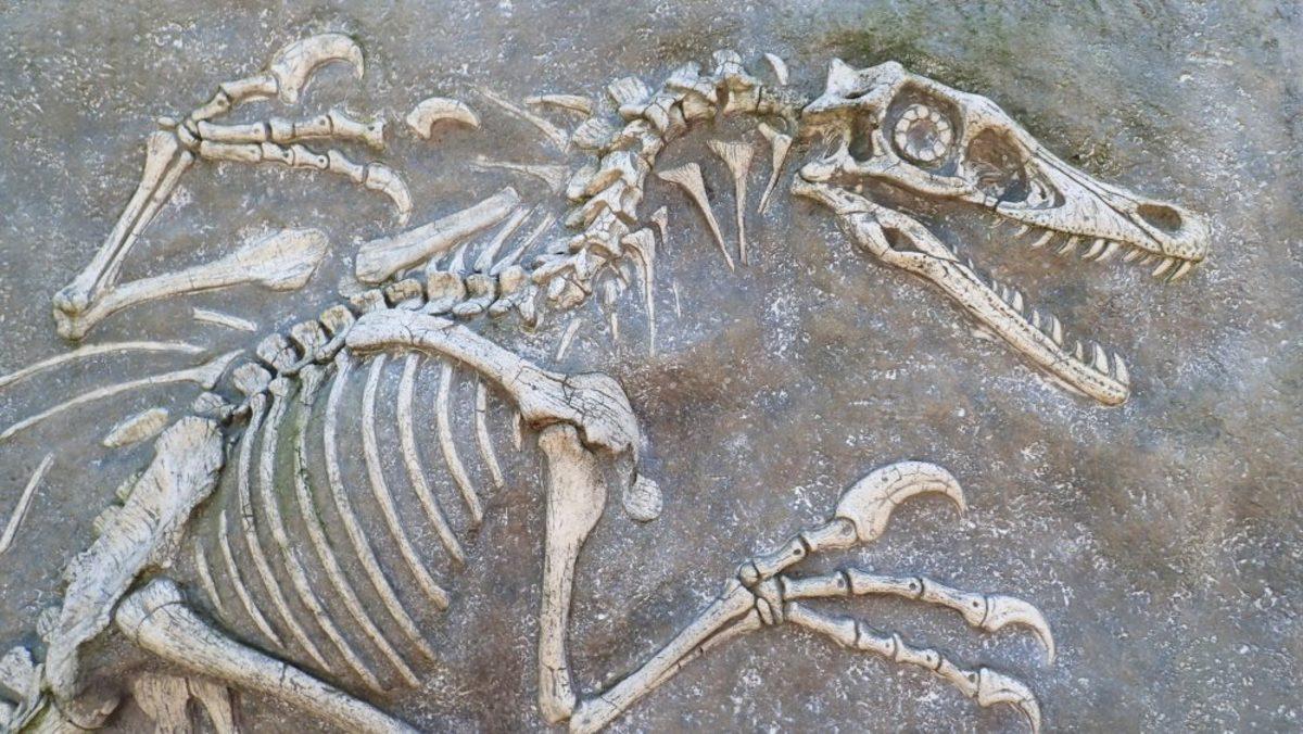 67 Milyon Yıllık Bir Dinozor Fosili Bulundu