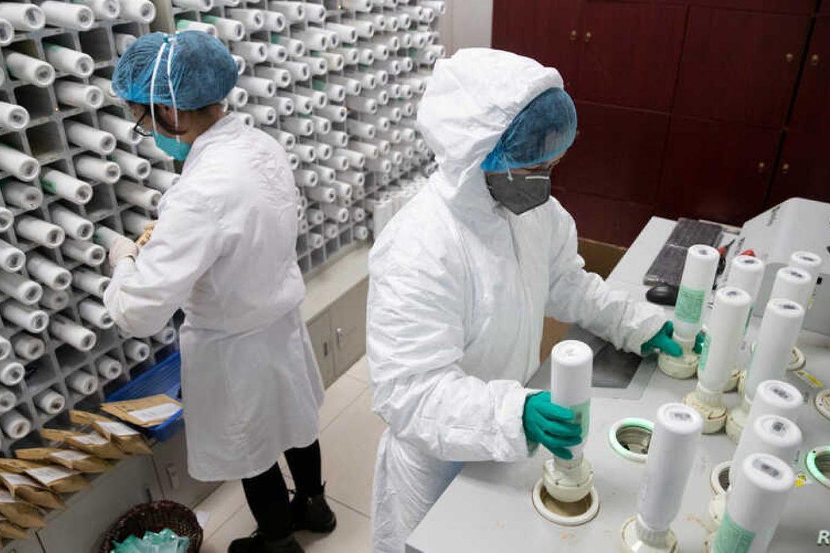 Köpeklerin 6 Haftalık Eğitimle Koronavirüsü Tespit Edebileceği Düşünülüyor