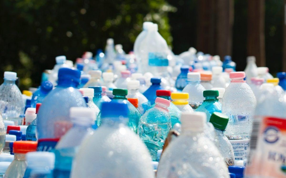 Plastik Yiyen Yeni Bir Bakteri Bulundu