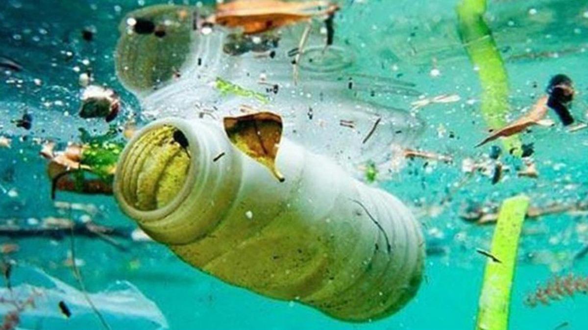 Plastik Yiyen Yeni Bir Bakteri Bulundu