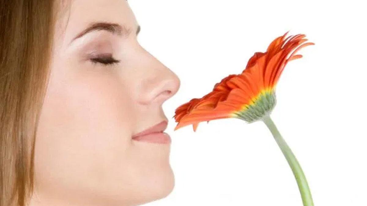 Kokunun Hafızayı Güçlendirildiği Bilim Tarafından Kanıtlandı