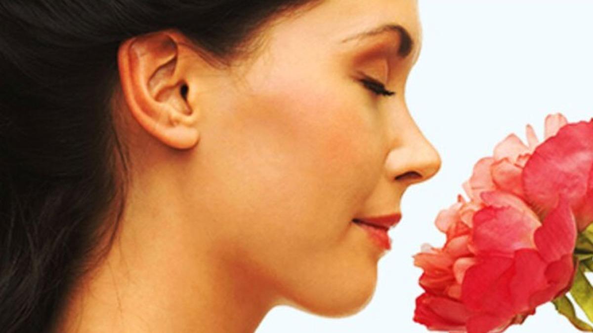 Kokunun Hafızayı Güçlendirildiği Bilim Tarafından Kanıtlandı