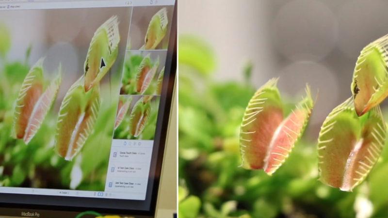 Cyborg Teknolojisini Kullanan Bilim İnsanları, Bitkileri Bir Sensör Gibi Kullanmayı Başardı (Video)