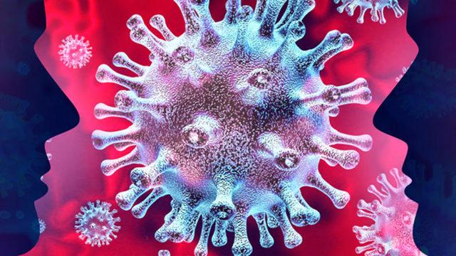 Türk Doktor Ayşe Köse, Koronavirüs Hakkında En Temel Bilgileri Anlattı (Video)