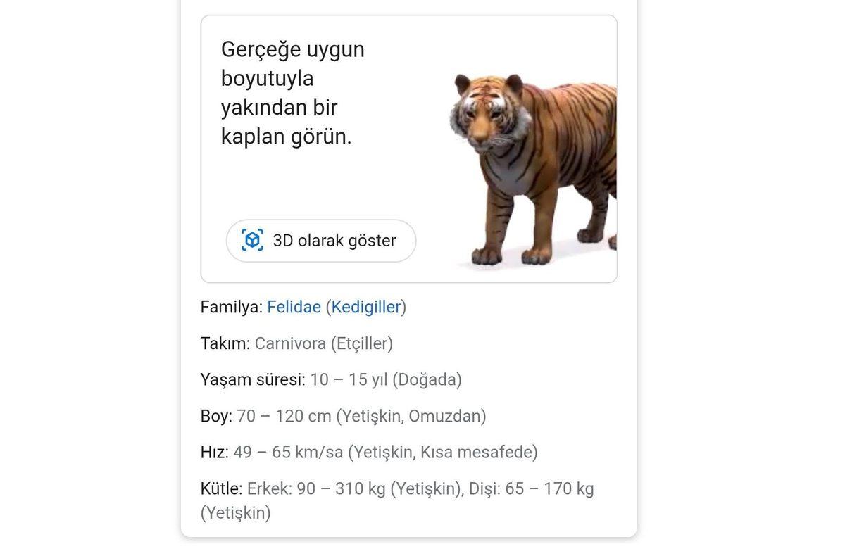 Google Aramaya 3B Hayvanlar Güncellemesi Geldi: Peki Nasıl Kullanılır?