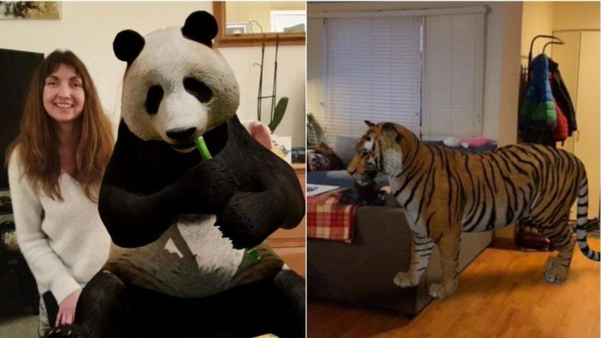 Google Aramaya 3B Hayvanlar Güncellemesi Geldi: Peki Nasıl Kullanılır?