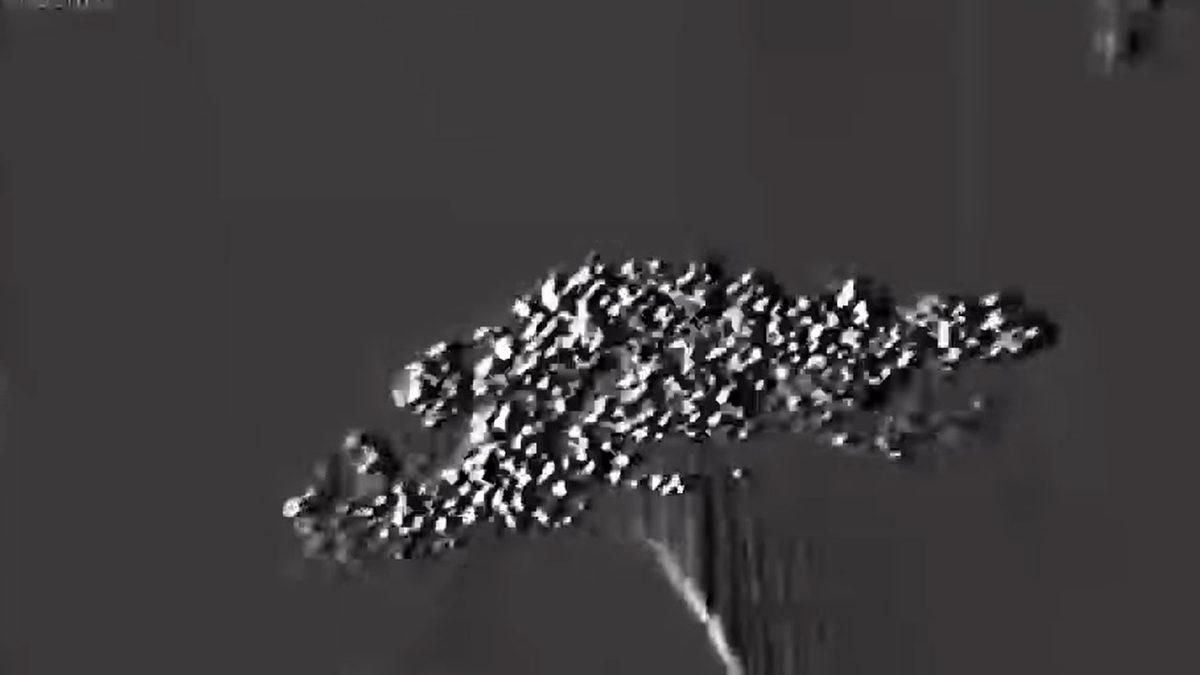 Koronavirüsün Neden Bu Kadar Hızlı Yayıldığı Yeni Bir Araştırmayla Ortaya Çıktı