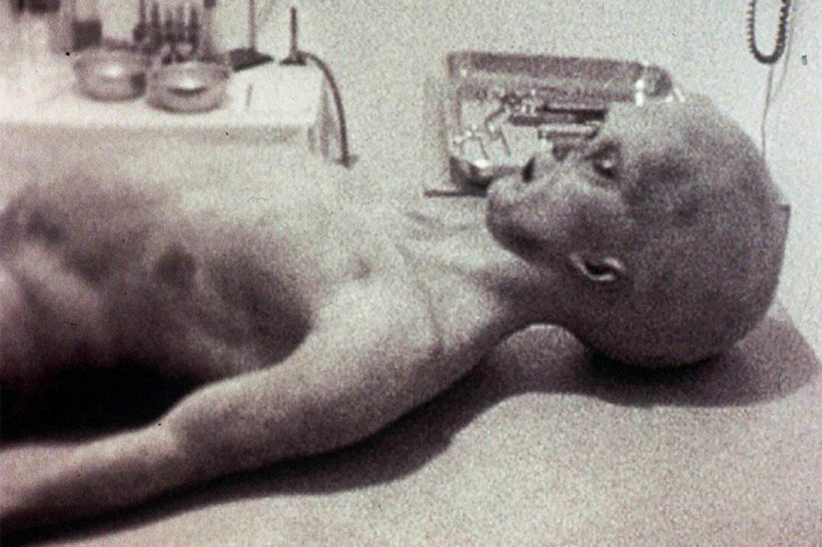 51. Bölge’nin Sırları, Gizlenen Tüm Detayları