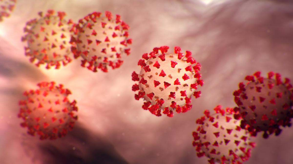 Koronavirüsle İlgili Ürküten Makale: 8 Metreye Kadar İlerleyip, Havada Kalabiliyor