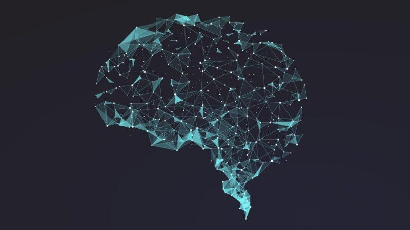 Valve CEO’su: Oyunlar, Yakında Beynimizi Sabit Disk Olarak Kullanacak