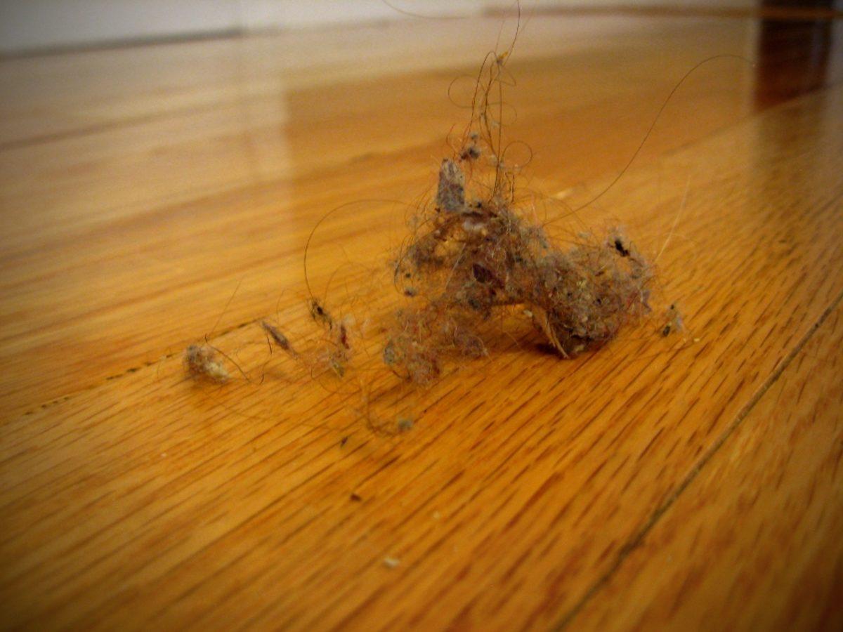 Bilim İnsanlarının Temizlik Takıntısı Olanların Rüyalarına Girecek ’Toz’ Araştırması