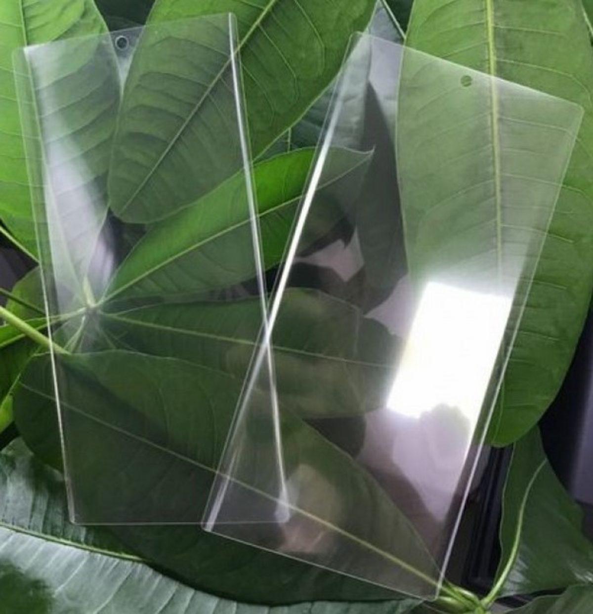 Samsung Galaxy Note 10, ’Ekran İçi Ses’ Özelliğine Sahip Olacak