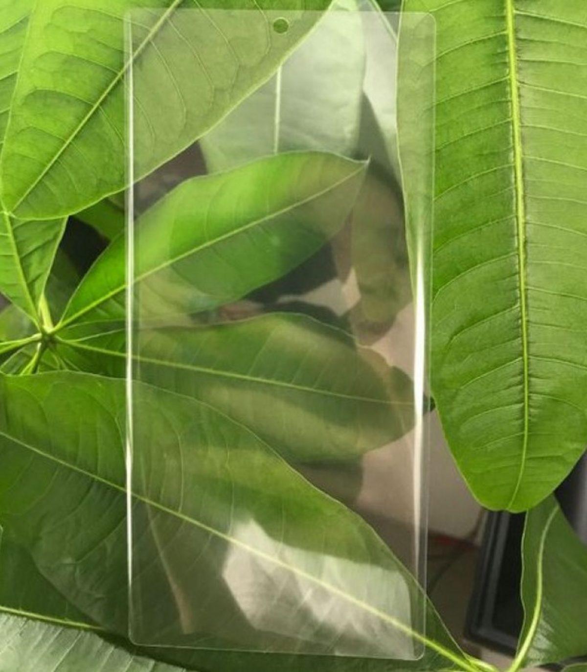 Samsung Galaxy Note 10, ’Ekran İçi Ses’ Özelliğine Sahip Olacak