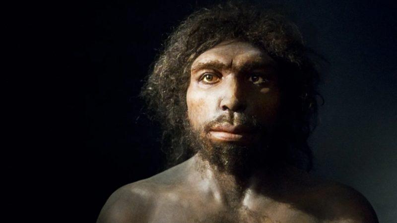 800 Bin Yıllık Diş Minesi, İnsan Evrimindeki Eksik Parçalardan Birini Tamamlayabilir