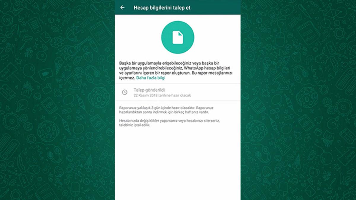 Öğrenince WhatsApp Uzmanı Olacağınız 11 Özellik