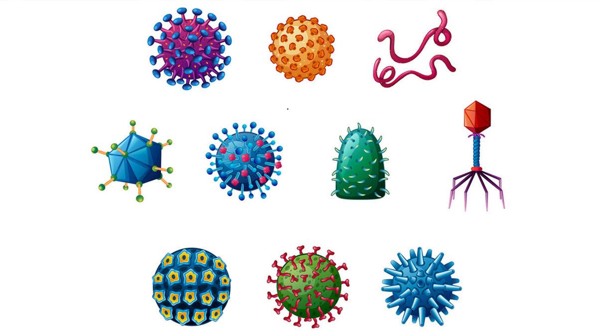 Koronavirüs Hakkında Sık Sık Duyduğumuz 17 Kelime ve Anlamları