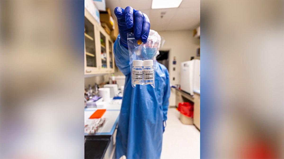 Parmak Ucu Büyüklüğünde Bir Koronavirüs Aşısı Geliştirildi