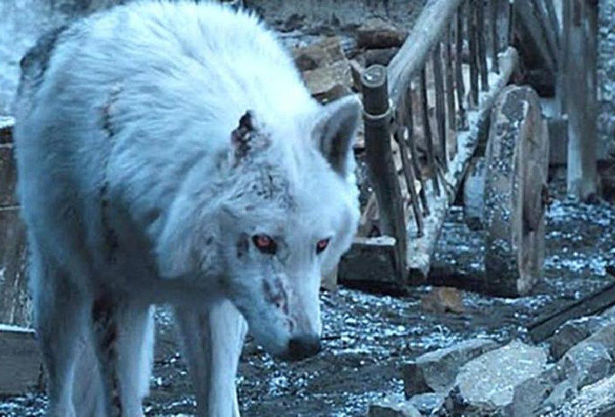 Game of Thrones’un Final Sezonunda Epik Bir Savaş Sahnesi Çıkarılmış