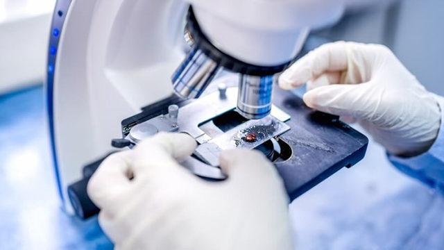 Yeni DNA Mikroskobu, Nebulaları Andıran İlginç Görüntüler Ortaya Koydu