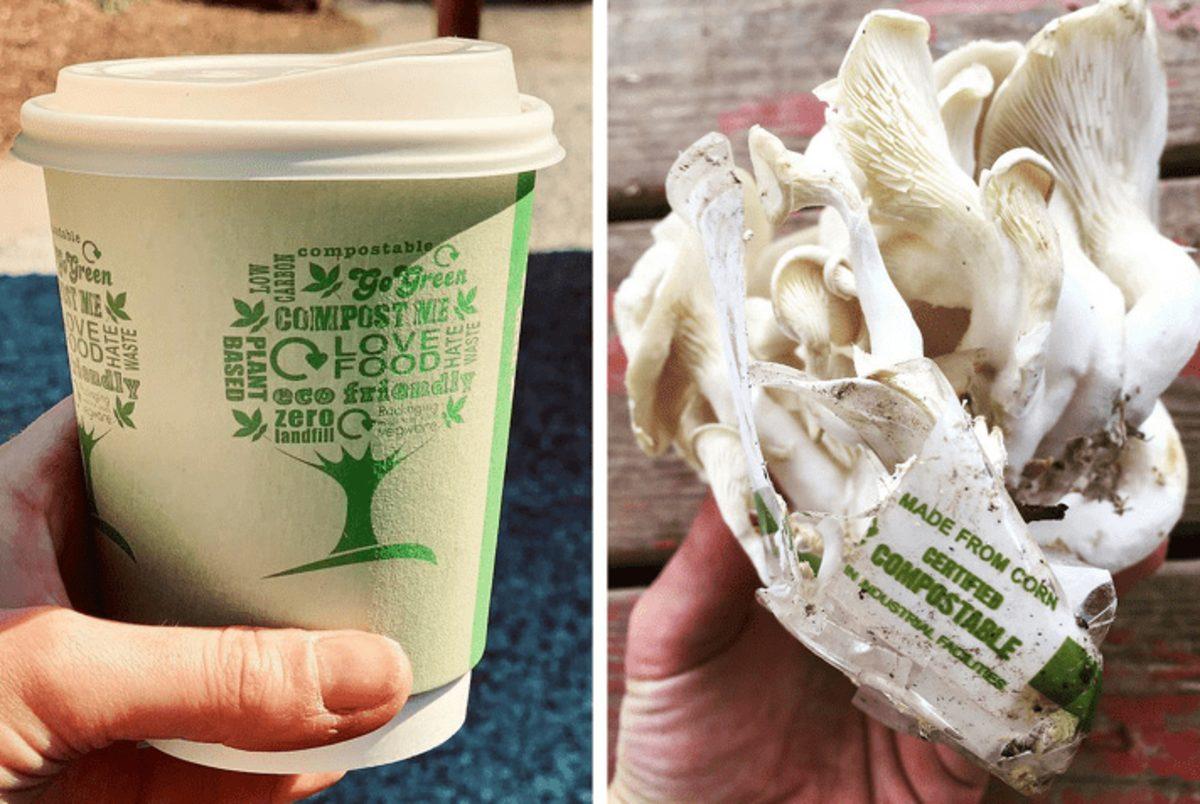 Dünyayı Kurtarmaya Hedef Haline Getirmiş 30  Çevre Dostu Tasarım