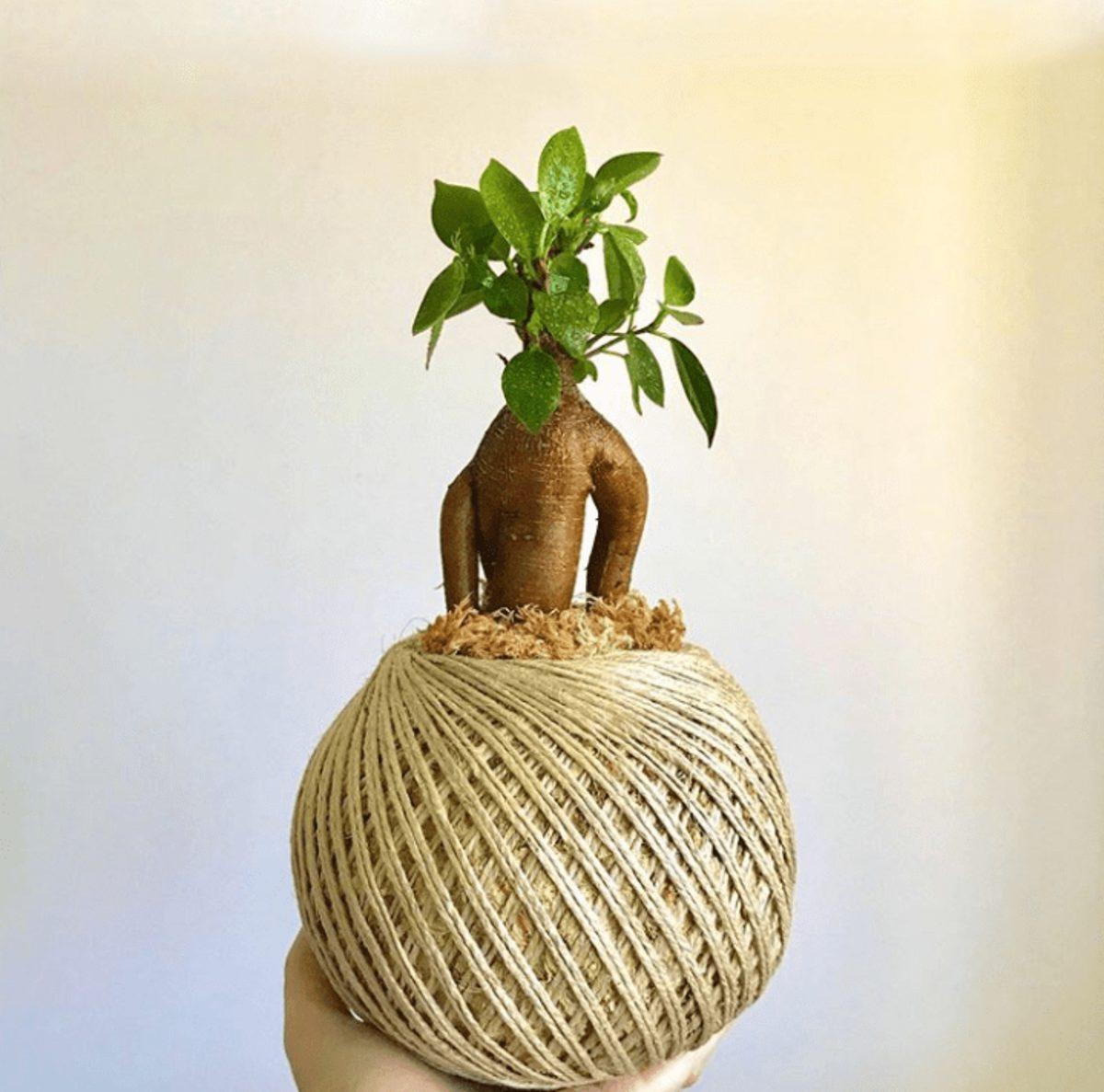 Dünyayı Kurtarmaya Hedef Haline Getirmiş 30  Çevre Dostu Tasarım