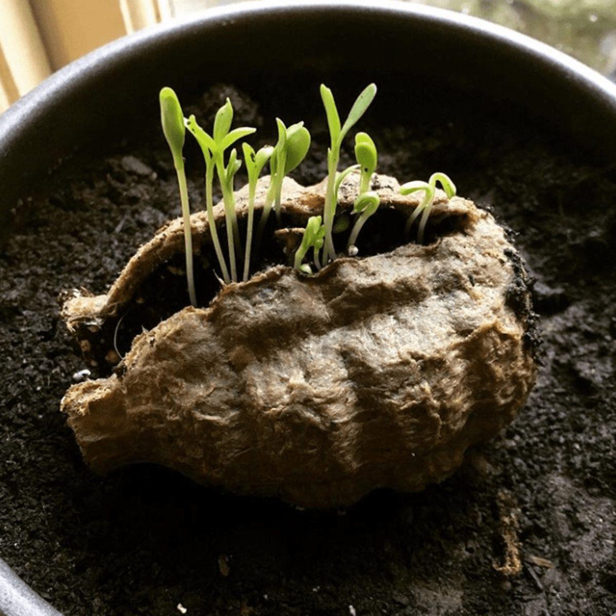 Dünyayı Kurtarmaya Hedef Haline Getirmiş 30  Çevre Dostu Tasarım