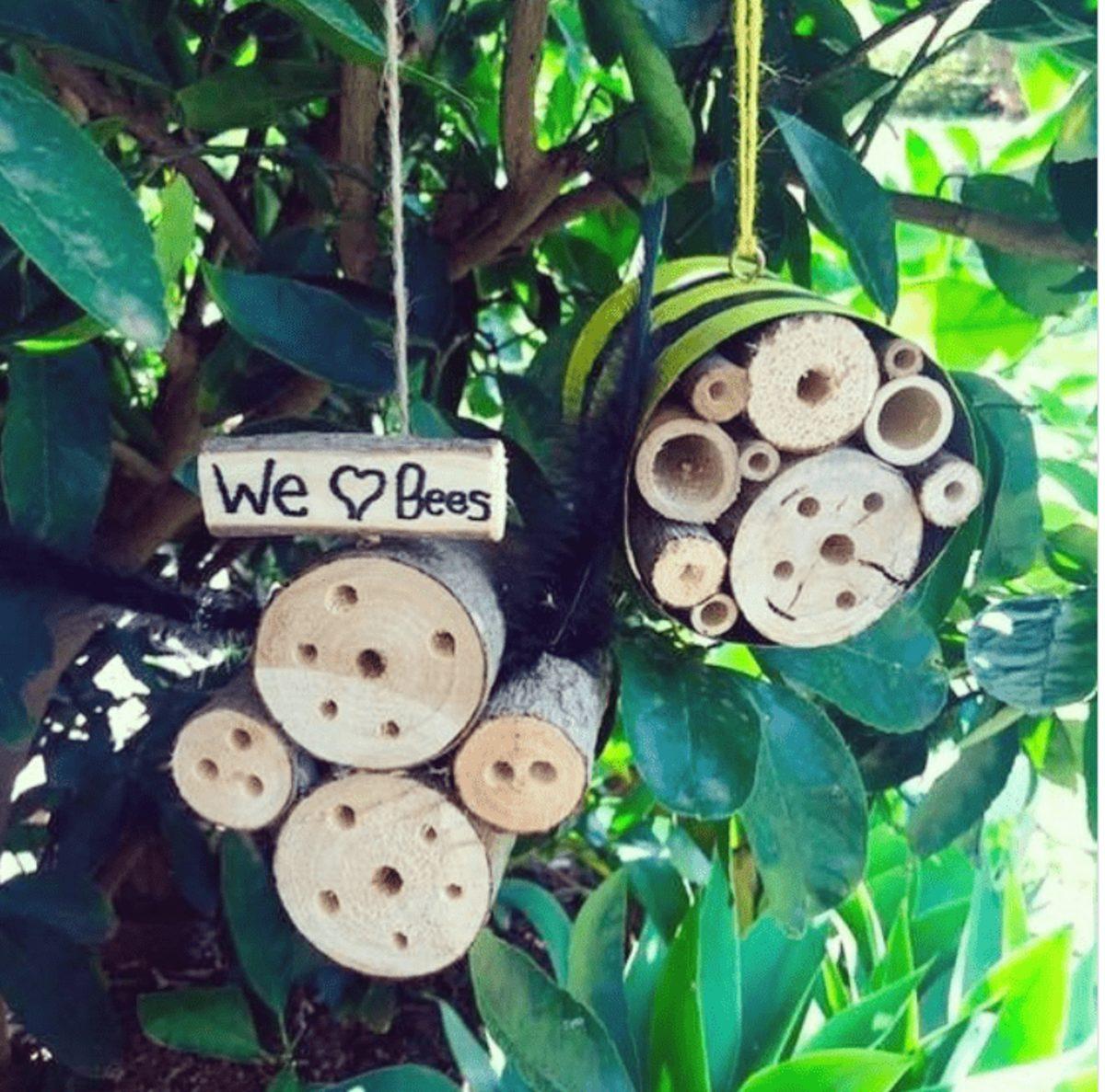 Dünyayı Kurtarmaya Hedef Haline Getirmiş 30  Çevre Dostu Tasarım