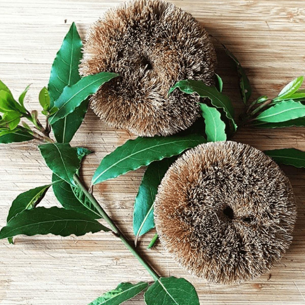 Dünyayı Kurtarmaya Hedef Haline Getirmiş 30  Çevre Dostu Tasarım