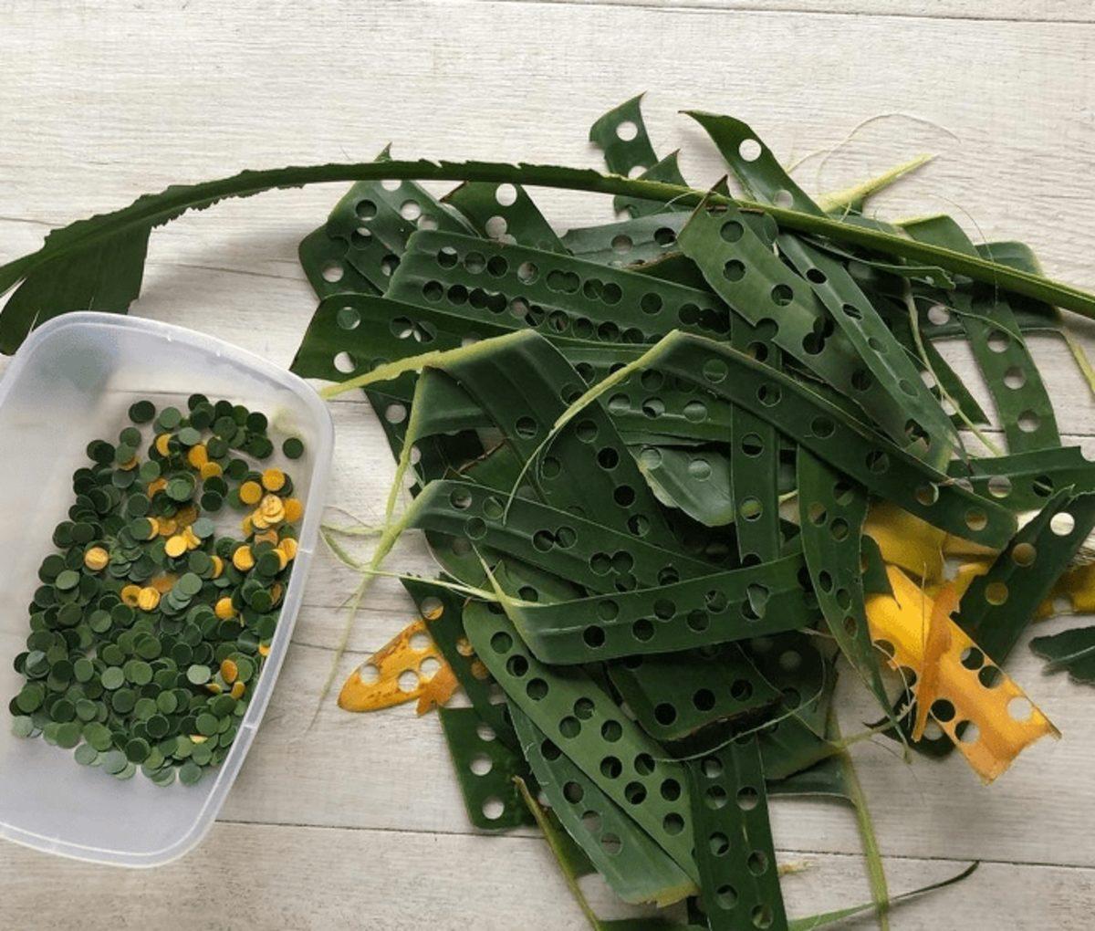 Dünyayı Kurtarmaya Hedef Haline Getirmiş 30  Çevre Dostu Tasarım