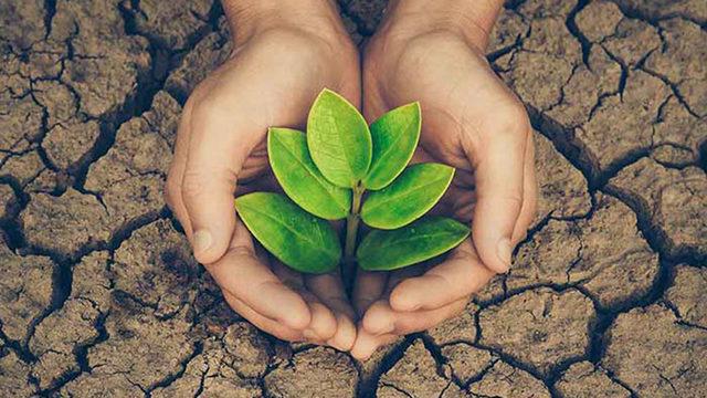 Dünyayı Kurtarmaya Hedef Haline Getirmiş 30  Çevre Dostu Tasarım