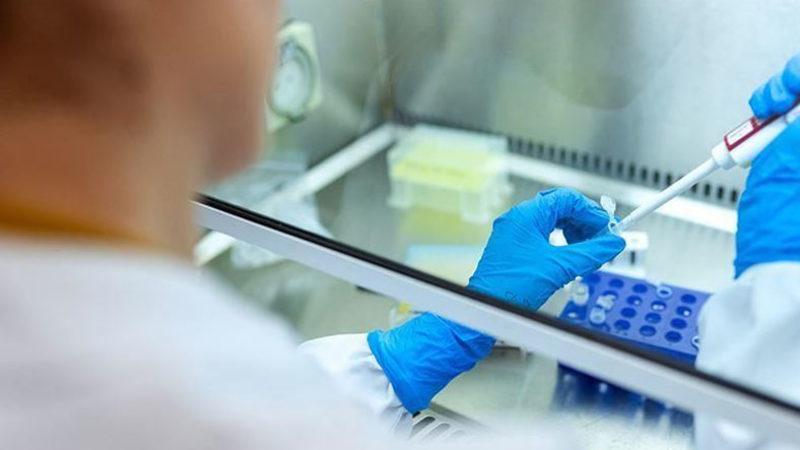 Koyun Dolly’yi Klonlayan Ekip, Koronavirüs Tedavisi Üzerinde Çalışıyor