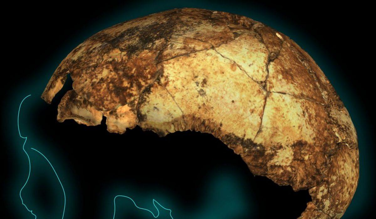 Üç Farklı Erken İnsan Türünün Güney Afrika’da Birlikte Yaşadığını Gösteren Araştırma