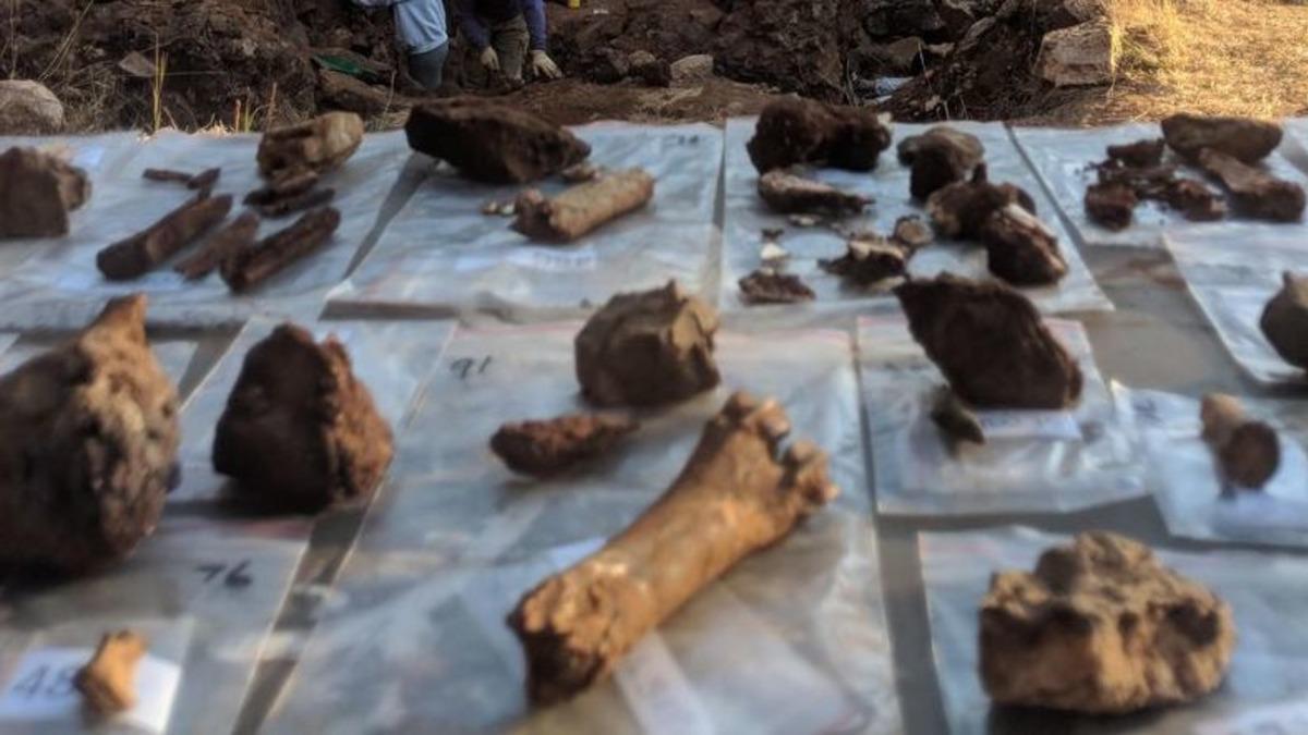 Üç Farklı Erken İnsan Türünün Güney Afrika’da Birlikte Yaşadığını Gösteren Araştırma