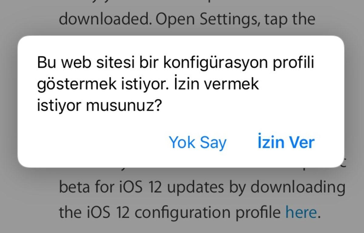 iOS 13 Public Beta Yayınlandı: İşte Adım Adım Kurulum Rehberi
