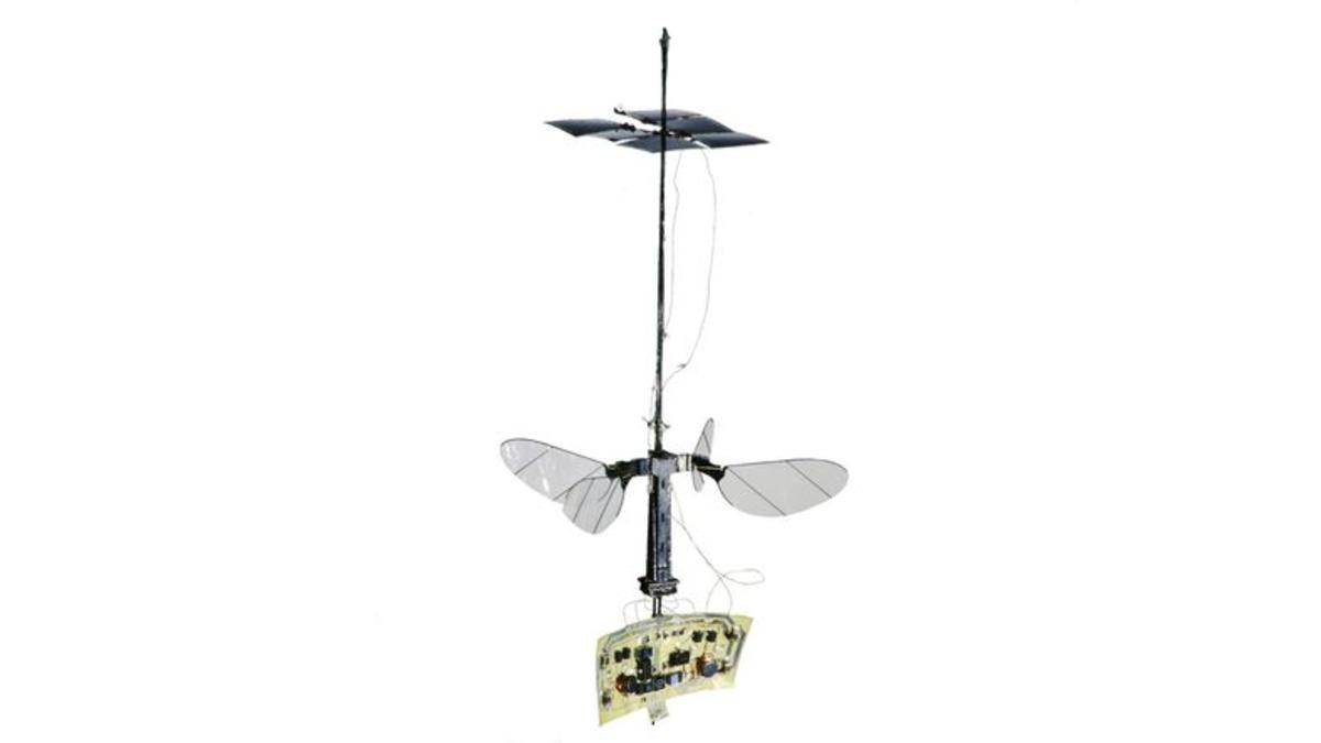 Gücünü Güneşten Alan Robot Arı: RoboBee X-Wing (Video)