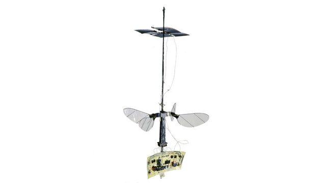 Gücünü Güneşten Alan Robot Arı: RoboBee X-Wing (Video)
