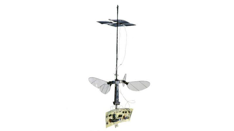 Gücünü Güneşten Alan Robot Arı: RoboBee X-Wing (Video)