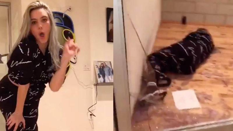 Bir YouTuber’ın Cam Kapı Üzerine ’Uçtuğu’ Anlar Viral Oldu (Video)